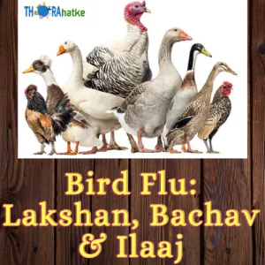 Read more about the article BIRD FLU- Bachav, ILAAJ Aur Lakshan In Hindi