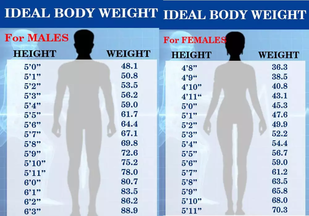 वजन कितना होना चाहिए-height, ideal body weight chart-vajan kaise badhaen