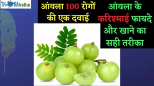 Read more about the article आंवला के 14 चमत्कारी फायदे और नुकसान | Amla Benefits In Hindi