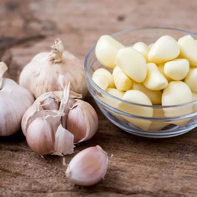 लहसुन खाने के फायदे (Benefits of garlic in hindi)