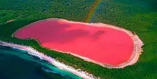 pink lake australia
