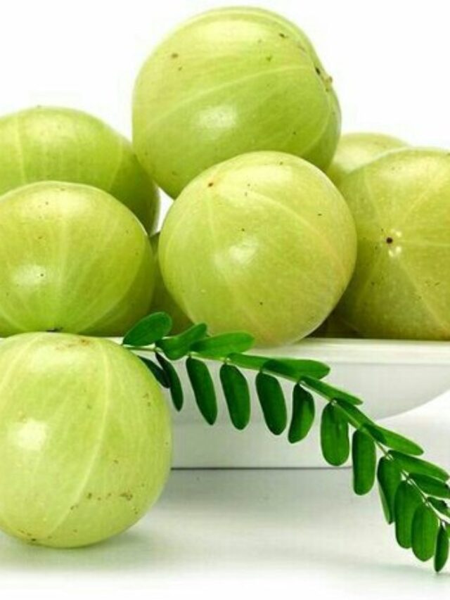 Read more about the article आंवला के चमत्कारी फायदे |  Amla Benefits In Hindi