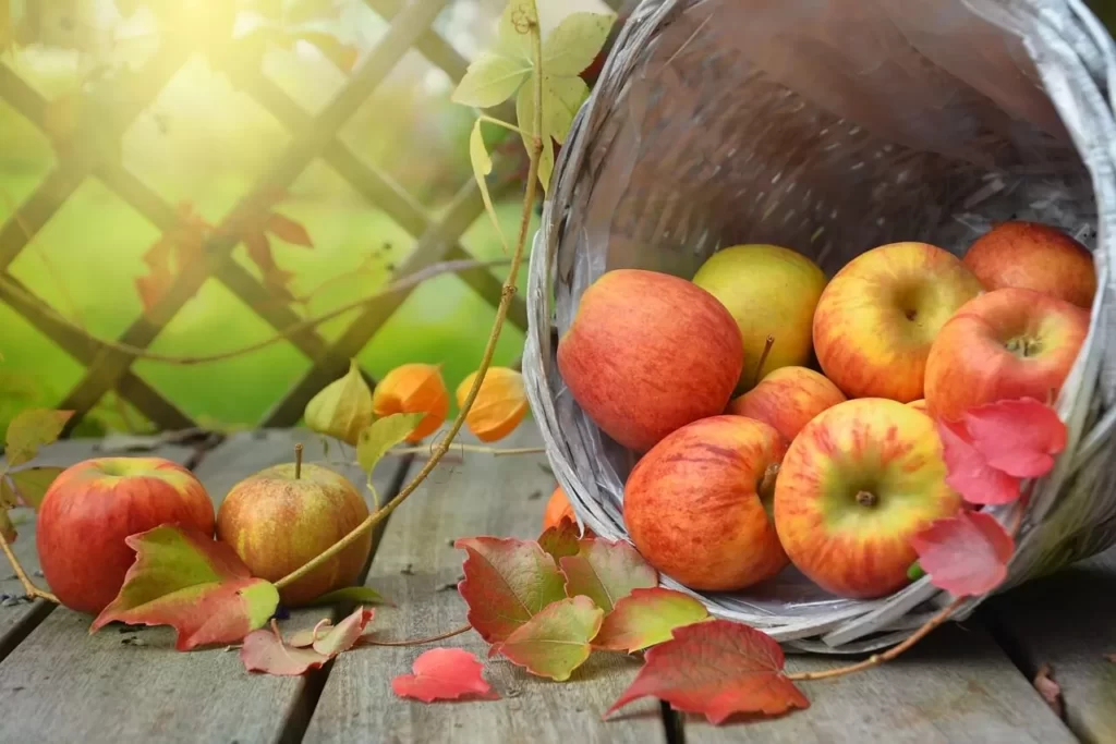 सेब खाने के फायदे (What is the Benefits of eating apple)- Apple khane ke fayde