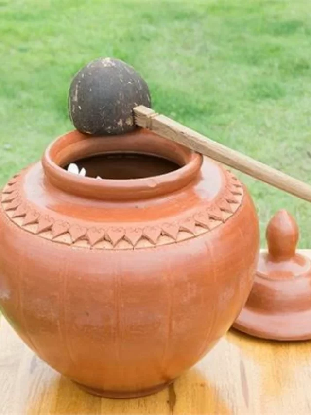 Read more about the article मिट्टी के घड़े (मटके) का पानी पीने से होते हैं कमाल के फायदे