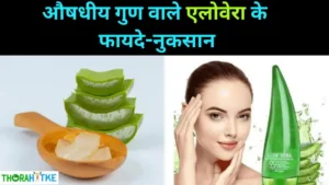 Read more about the article एलोवेरा है चमत्कारी गुणों से भरपूर – Aloevera ke fayde