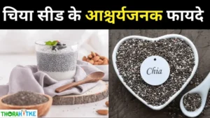 Read more about the article चिया बीज के चमत्कारिक स्वास्थ्य लाभ- chia seeds benefits in hindi