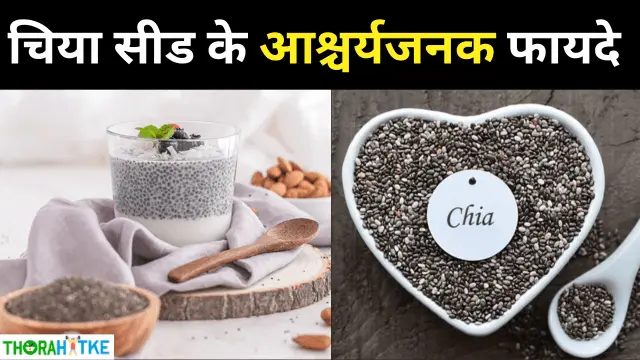 You are currently viewing चिया बीज के चमत्कारिक स्वास्थ्य लाभ- chia seeds benefits in hindi