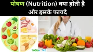 Read more about the article पोषण क्या है और पोषक तत्वों के प्रकार: What is nutrition in hindi
